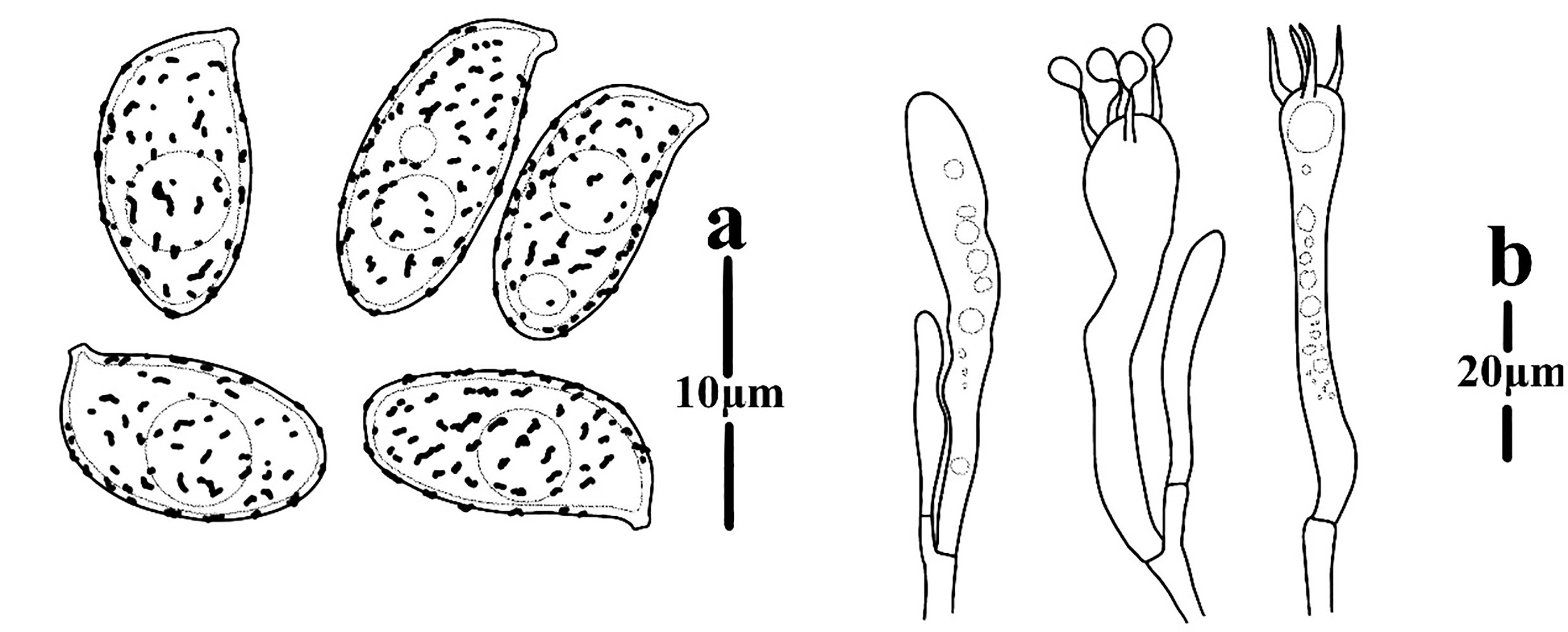 Figure 124